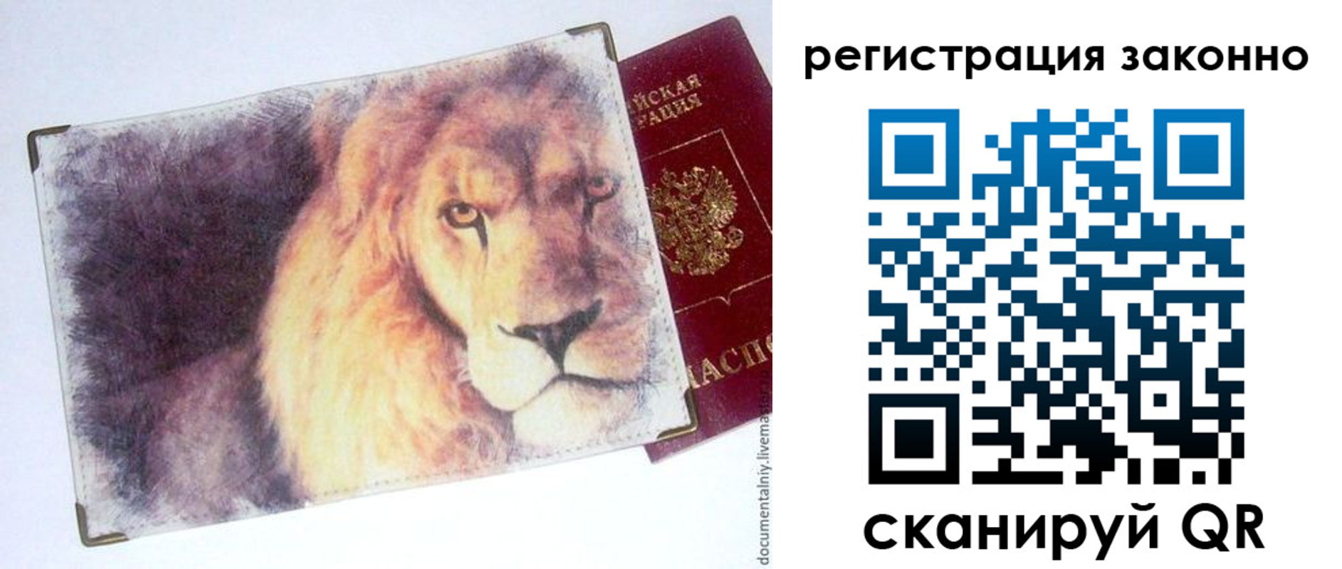 прописка гарантия в Няндоме